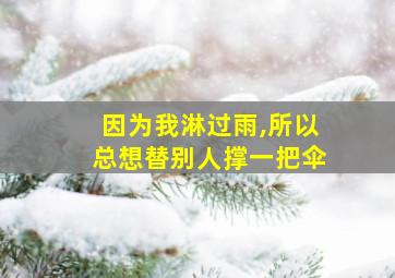 因为我淋过雨,所以总想替别人撑一把伞