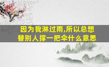 因为我淋过雨,所以总想替别人撑一把伞什么意思