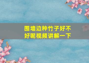 围墙边种竹子好不好呢视频讲解一下