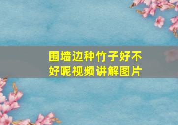 围墙边种竹子好不好呢视频讲解图片