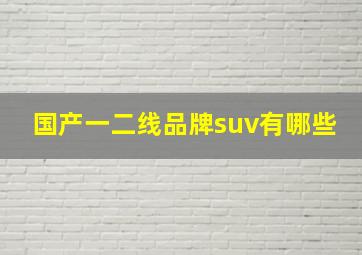 国产一二线品牌suv有哪些