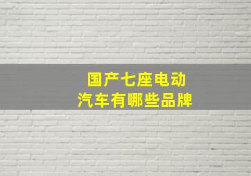 国产七座电动汽车有哪些品牌