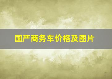 国产商务车价格及图片