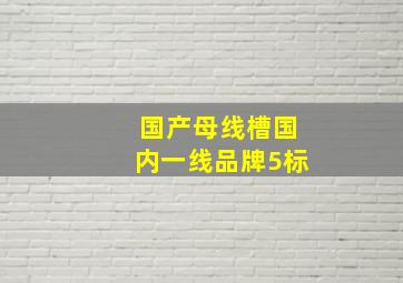 国产母线槽国内一线品牌5标