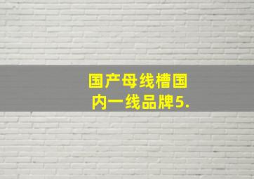 国产母线槽国内一线品牌5.