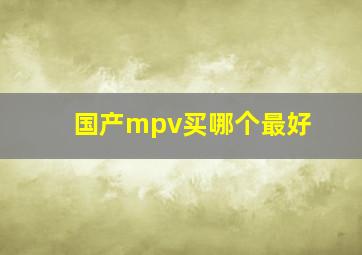 国产mpv买哪个最好