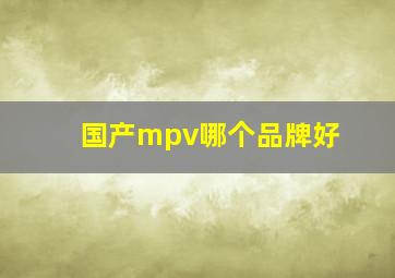 国产mpv哪个品牌好