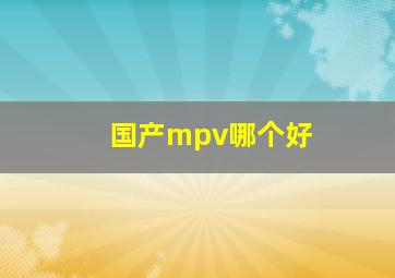 国产mpv哪个好