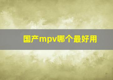 国产mpv哪个最好用