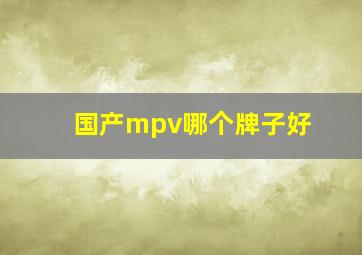 国产mpv哪个牌子好