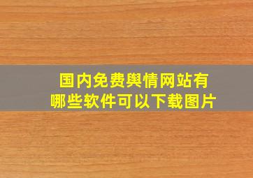 国内免费舆情网站有哪些软件可以下载图片