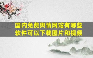 国内免费舆情网站有哪些软件可以下载图片和视频