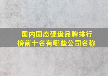 国内固态硬盘品牌排行榜前十名有哪些公司名称