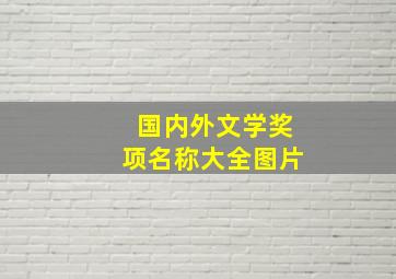 国内外文学奖项名称大全图片