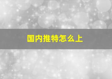 国内推特怎么上