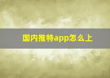 国内推特app怎么上