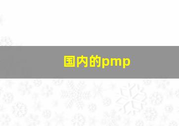 国内的pmp