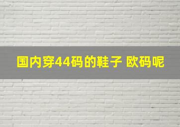 国内穿44码的鞋子 欧码呢