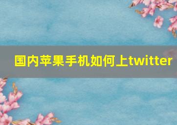 国内苹果手机如何上twitter