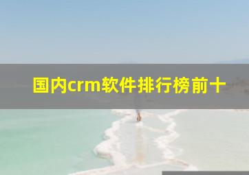 国内crm软件排行榜前十