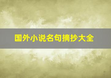 国外小说名句摘抄大全