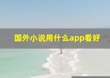 国外小说用什么app看好