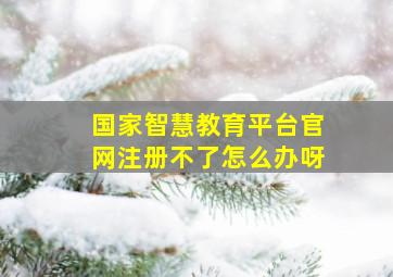 国家智慧教育平台官网注册不了怎么办呀