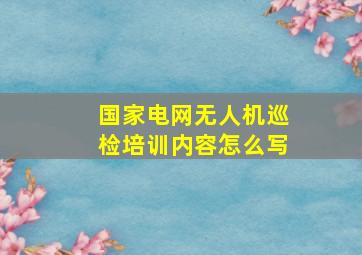 国家电网无人机巡检培训内容怎么写