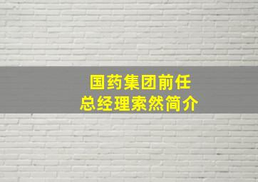 国药集团前任总经理索然简介