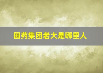 国药集团老大是哪里人