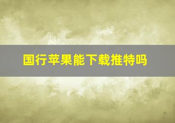 国行苹果能下载推特吗