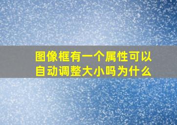 图像框有一个属性可以自动调整大小吗为什么