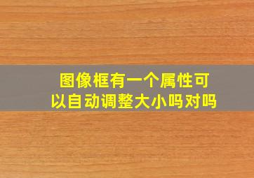 图像框有一个属性可以自动调整大小吗对吗