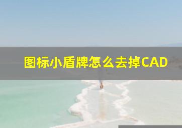 图标小盾牌怎么去掉CAD