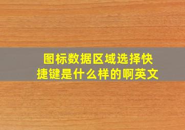 图标数据区域选择快捷键是什么样的啊英文