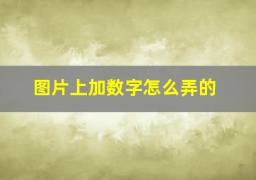 图片上加数字怎么弄的