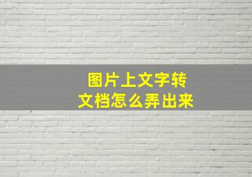 图片上文字转文档怎么弄出来