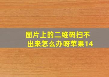 图片上的二维码扫不出来怎么办呀苹果14