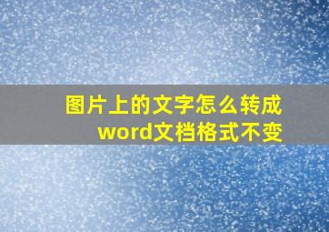 图片上的文字怎么转成word文档格式不变