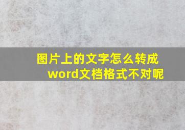 图片上的文字怎么转成word文档格式不对呢