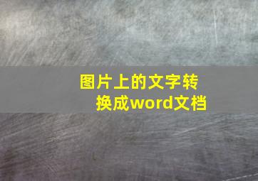 图片上的文字转换成word文档