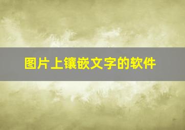 图片上镶嵌文字的软件