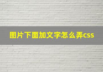 图片下面加文字怎么弄css