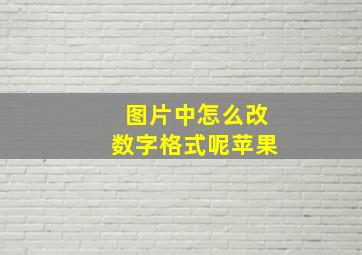 图片中怎么改数字格式呢苹果