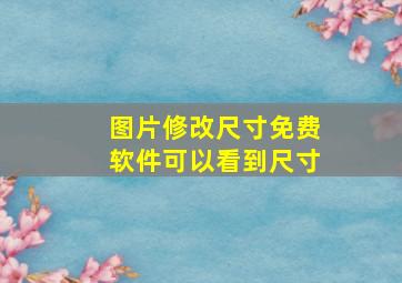 图片修改尺寸免费软件可以看到尺寸