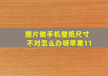 图片做手机壁纸尺寸不对怎么办呀苹果11