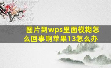 图片到wps里面模糊怎么回事啊苹果13怎么办