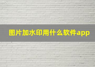 图片加水印用什么软件app