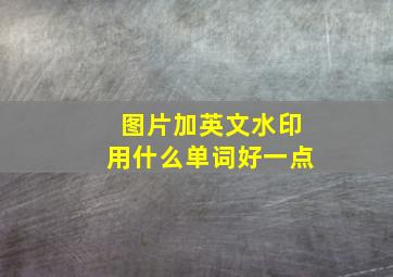 图片加英文水印用什么单词好一点