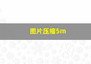 图片压缩5m